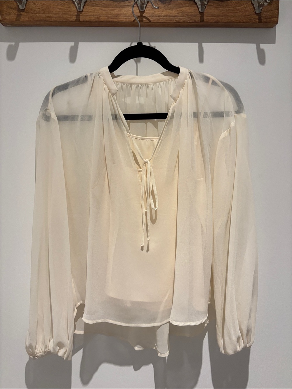 Sheer Cream Tie-Neck Blouse with Long Puff Sleeves